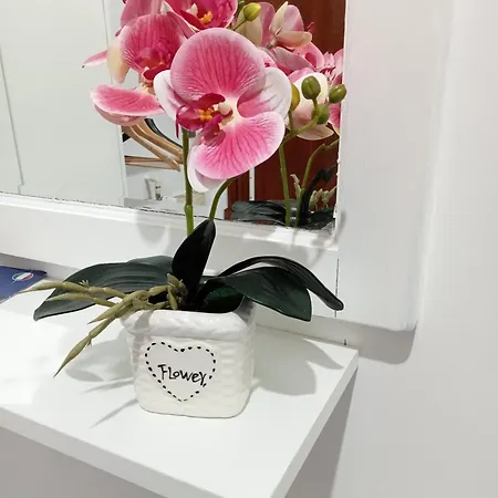 Apartmán House Vaticano Řím